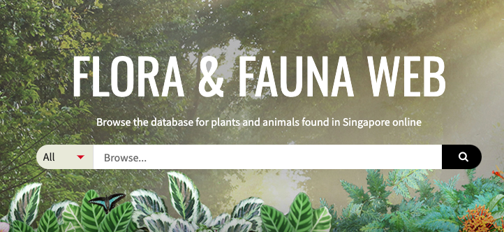 NParks Flora and Fauna Web